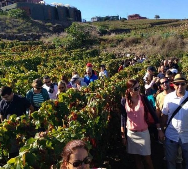 Excursion gastronomique à Tenerife