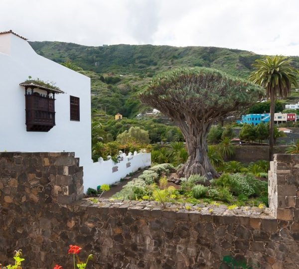 Tenerife : Visite d’une journée complète du Parc national
